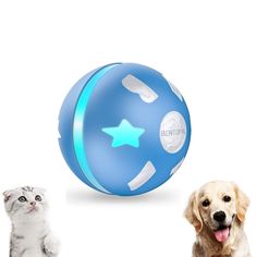 PetDroid Interactive Dog/Cats Ball Toys,Durable Motion Activated Automatic Rolling Ball Toys for Puppy/Small/Medium Dogs,USB Stimulating Dog Toys, Cool Cat Toys, Dog Toothbrush, Led Dog Collar, Cat Ball