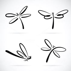 four colorful dragonflys on white background - animals logo templates / pack 1