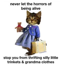 a cat is holding a teddy bear and wearing a blue dress with the caption, never let the horrors of being alive stop you from trying silly little trinkets & grandma clothes