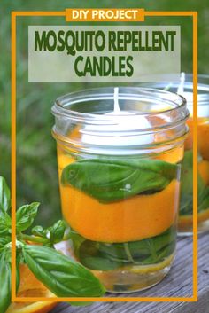 two mason jars filled with oranges and basil on top of a wooden table in the grass