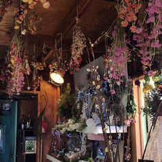 a room filled with lots of hanging plants and flowers