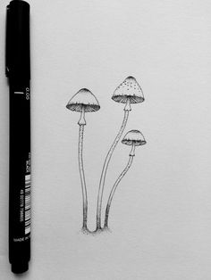 a drawing of three mushrooms sitting on top of a piece of paper next to a pen