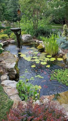 a small pond in the middle of a garden with lily pads and water lilies