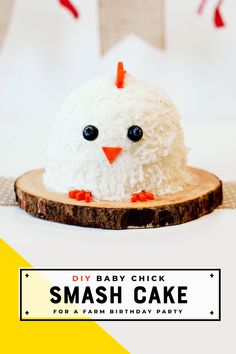 baby chick birthday cake with coconut flake feathers Smash Cake 1st Birthday, Spa Sleepover, Diy Smash Cake, Cake 1st Birthday, Smash Cake First Birthday, Gnome Party, Colorful Backyard, Apple Birthday