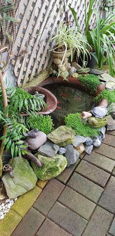 a small pond surrounded by rocks and plants