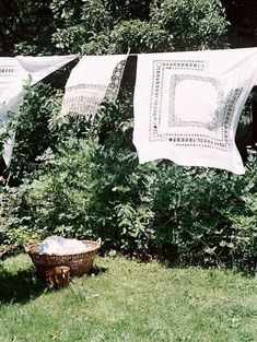 two white towels hanging from a clothes line in front of some bushes and trees with a basket on the grass