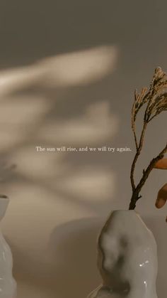 a vase with a plant in it and a quote on the side that says, the sun will rise and we will try again