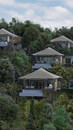 a group of houses sitting on top of a lush green hillside covered in trees and bushes