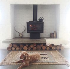 a dog laying on a rug in front of a wood stove with logs and a deer head