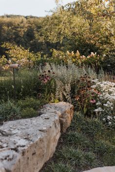 a stone bench sitting in the middle of a garden filled with lots of flowers and greenery