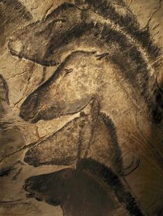 an image of some kind of animal in the cave with text on it that says,