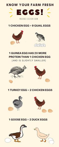 an image of chickens and eggs with the words know your farm fresh written in it