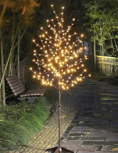 a lighted tree in the middle of a walkway