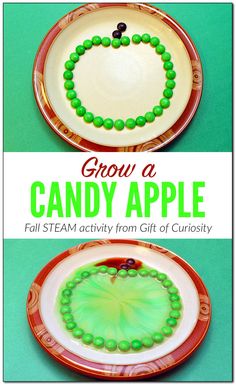 two plates with candy apples on them and the words grow a candy apple written in green