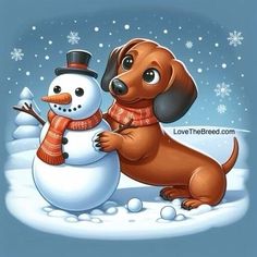 a dachshund dog standing next to a snowman