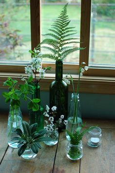 several vases with plants in them sitting on a wooden table next to a window