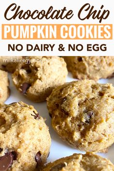 These soft pumpkin chocolate chip cookies are just what you need this fall! They can easily be made dairy-free and egg-free. My toddlers loved these, my teens devour them! See the allergy friendly recipe at Milk Allergy Mom Egg Free Food, Allergy Friendly Party Food, Corn Free Recipes Allergies, Dairy Free Soy Free Dessert, Dairy Free Cookies Recipes, Dairy Free Egg Free Cookies, Allergen Free Snacks, Allergy Free Recipes For Kids, Soft Pumpkin Chocolate Chip Cookies