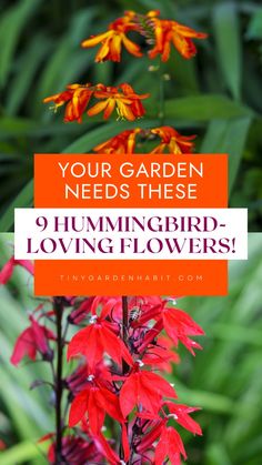 red and yellow flowers with the words your garden needs these 9 hummingbird loving flowers