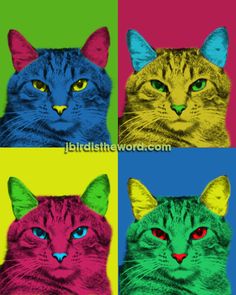 four different colored cats with green eyes