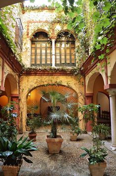 an indoor courtyard with potted plants and windows