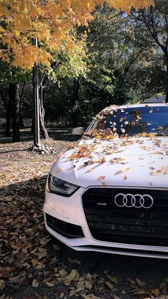 a white car parked on top of leaves covered ground