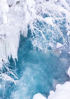 the water is crystal blue and there are ice hanging from the tree branches in front of it