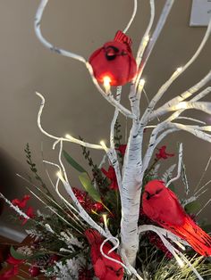 two red birds sitting on top of a tree with white branches and lights in it