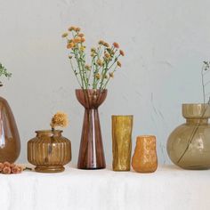 several glass vase in a row on a shelf, 2 have wild flowers in them. Amber Glass Vase Target, Colored Glass Vases Modern, Colored Glass Vase, Dried Botanicals, Colored Glass Vases, Brown Vase, Vase Shapes, Clear Glass Vases, Unique Vases