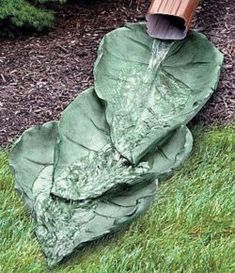 a large leafy green plant with water coming out of it's end in the grass