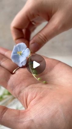 a person is holding two small flowers in their hands, one blue and the other white