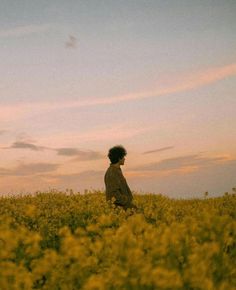 a young man standing in a field of yellow flowers at sunset with the sun setting behind him