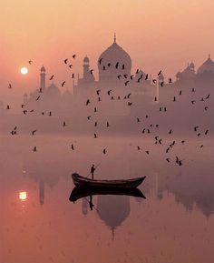 a small boat floating on top of a lake next to a large group of birds