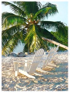 two white beach chairs sitting on top of a sandy beach next to a palm tree