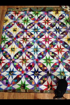 a cat sitting on the floor next to a quilt