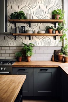 some plants are sitting on shelves in the kitchen