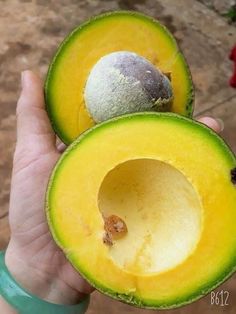 two halves of an avocado being held in someone's hand