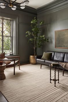 a living room filled with furniture and a potted plant on top of a table