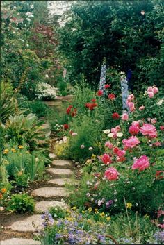 a garden filled with lots of flowers and plants