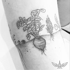 a black and white photo of a carrot on the leg with plants growing out of it