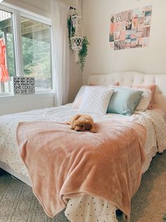 cute golden retriever Pink Boho Dorm Room, Front Yard Flower Bed, 2020 Bedroom, Bedroom Decor Aesthetic, Boho Dorm Room, Dorm Room Styles, Pinterest Room, Boho Dorm, College Dorm Room Decor