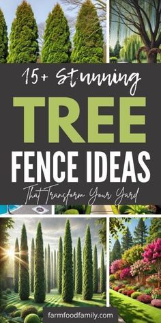 the cover of 15 stunning tree fence ideas