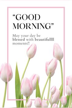 pink tulips with the words good morning may your day be blissed with beautiful moments