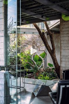 an outdoor area with chairs and trees in the background, surrounded by glass walls that lead to a courtyard