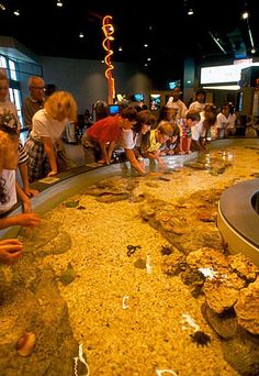 people looking at an aquarium in a museum with many different types of rocks and water