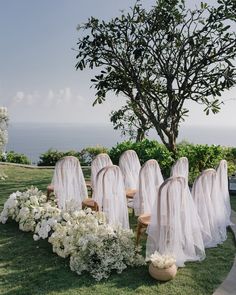 the chairs are lined up with white flowers and veils on them for an outdoor ceremony