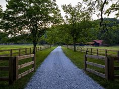 a gravel road is between two fenced in areas with grass and trees on either side