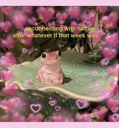 a frog sitting on top of a green leaf next to pink flowers and leaves with the words, reclining with nature after whatever it that week was