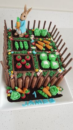 a cake made to look like a garden