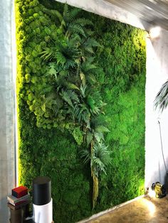 a living wall with moss and plants on it