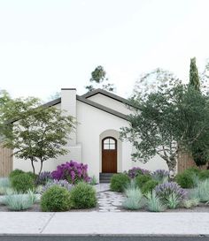 this is an artist's rendering of a house in the desert with plants and shrubs